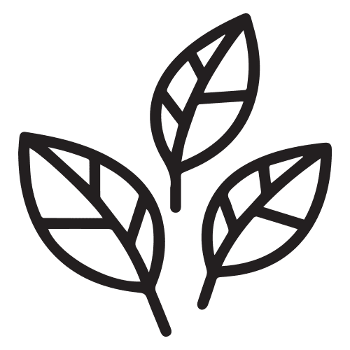 Clean, αποφεύγοντας επιβλαβείς χημικές ουσίες